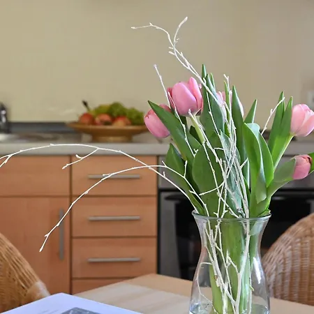Apartment Celia By Interhome Sellin (Rugen)